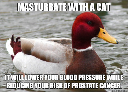 Masturbate with a cat
 It will lower your blood pressure while reducing your risk of prostate cancer.  Malicious Advice Mallard