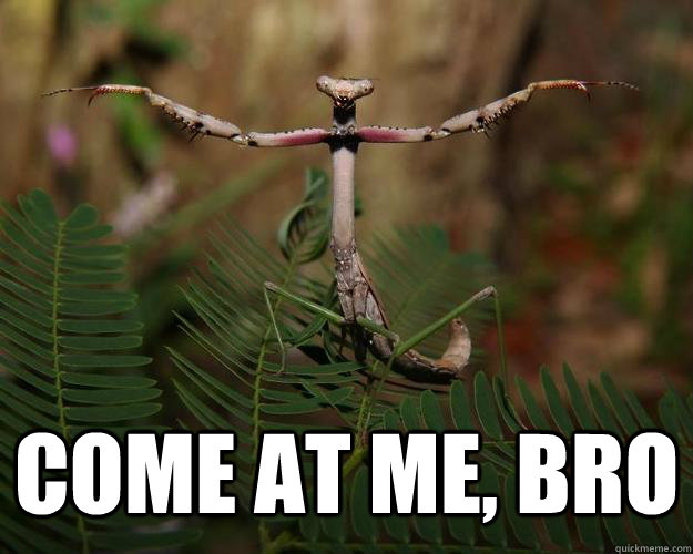  Come at me, bro -  Come at me, bro  Come at me bug