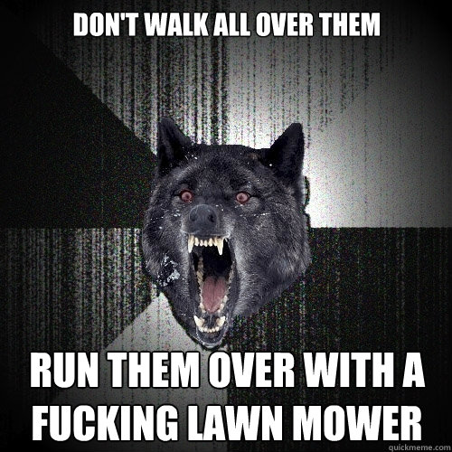 don't walk all over them run them over with a fucking lawn mower  Insanity Wolf