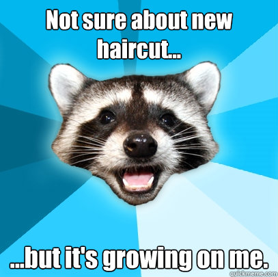 Not sure about new haircut... ...but it's growing on me.  Lame Pun Coon
