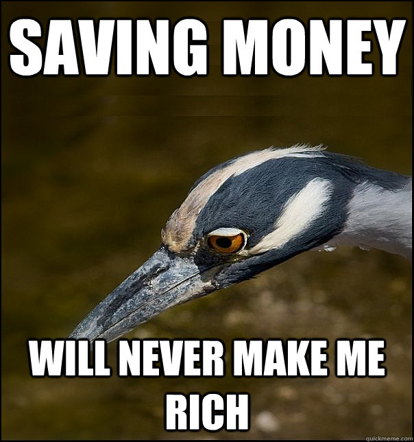 saving money will never make me rich - saving money will never make me rich  Sad Realization Heron