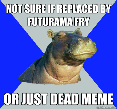 Not sure if replaced by Futurama Fry Or just dead meme  Skeptical Hippo