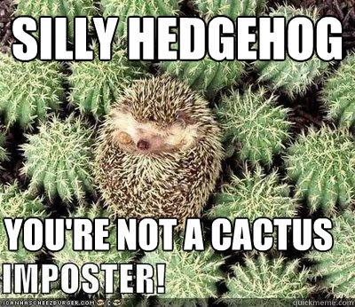 silly hedgehog you're not a cactus  