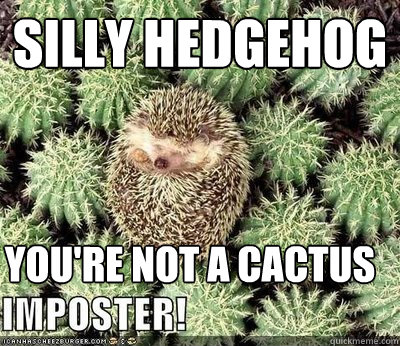 silly hedgehog you're not a cactus - silly hedgehog you're not a cactus  Misc