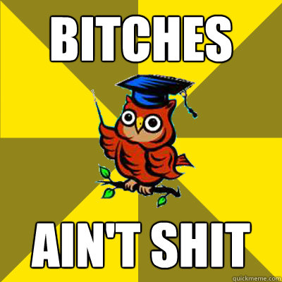 bitches ain't shit - bitches ain't shit  Observational Owl