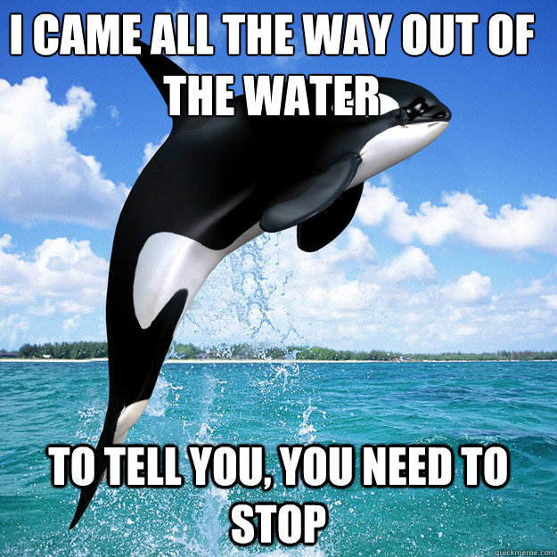 I CAME ALL THE WAY OUT OF THE WATER TO TELL YOU, YOU NEED TO STOP  Kokomoor Killer Whale