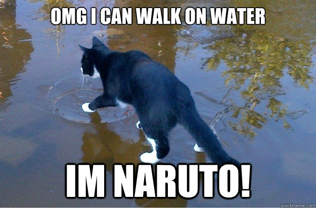 OMG i can walk on water im naruto!  Jesus Cat