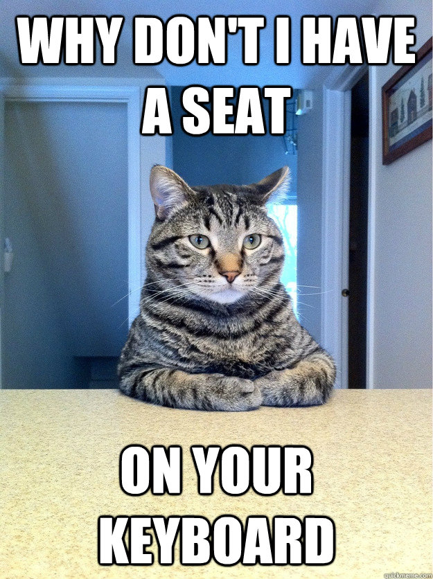 Why don't i have a seat on your keyboard - Why don't i have a seat on your keyboard  Chris Hansen Cat