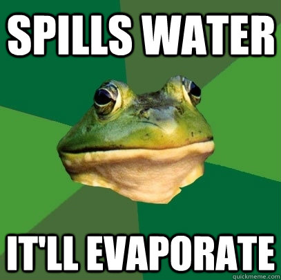 spills water  it'll evaporate  Foul Bachelor Frog