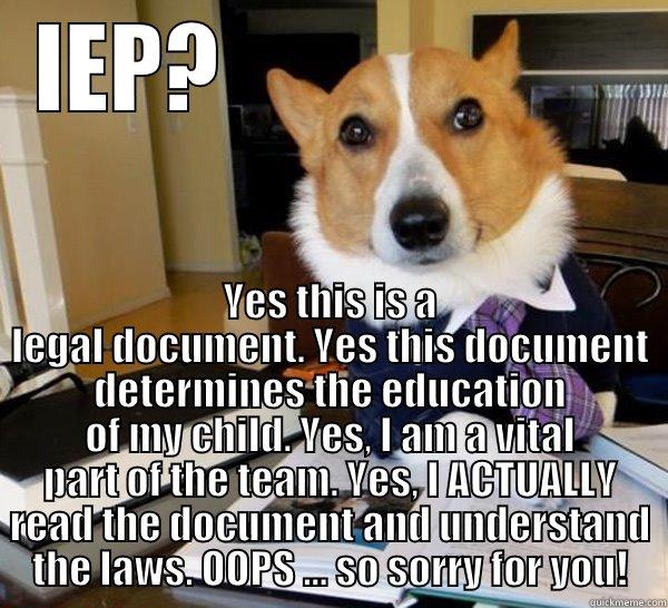 IEP?                      YES THIS IS A LEGAL DOCUMENT. YES THIS DOCUMENT DETERMINES THE EDUCATION OF MY CHILD. YES, I AM A VITAL PART OF THE TEAM. YES, I ACTUALLY READ THE DOCUMENT AND UNDERSTAND THE LAWS. OOPS ... SO SORRY FOR YOU! Lawyer Dog