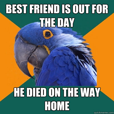 Best friend is out for the day HE DIED ON THE WAY HOME  Paranoid Parrot