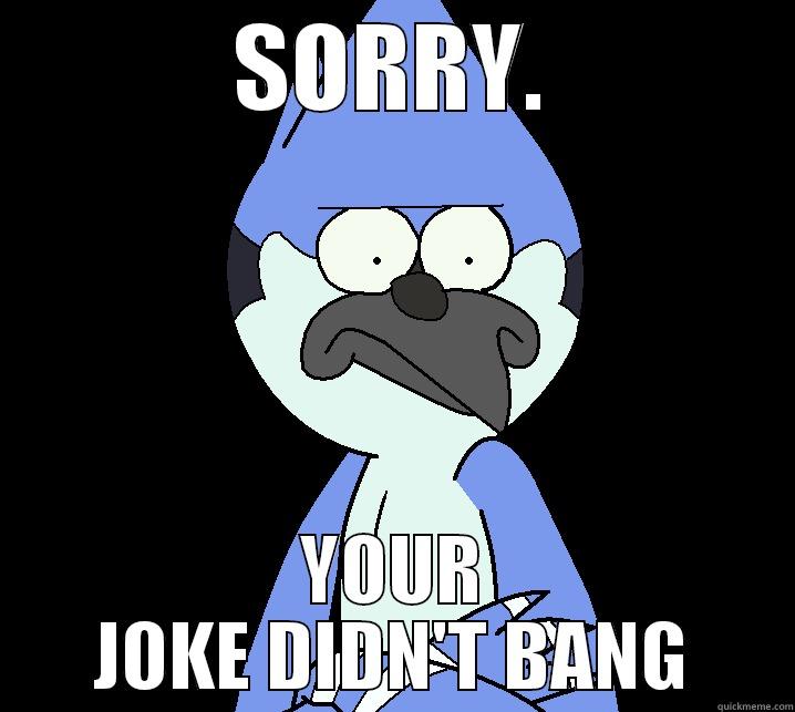 SORRY. YOUR JOKE DIDN'T BANG Misc