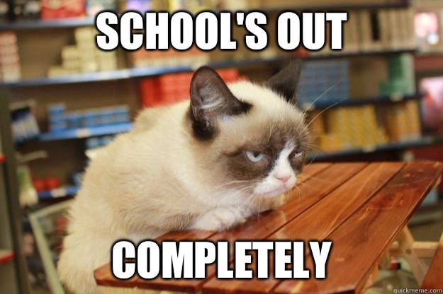 School's out Completely - School's out Completely  Grumpy Cat Lunch