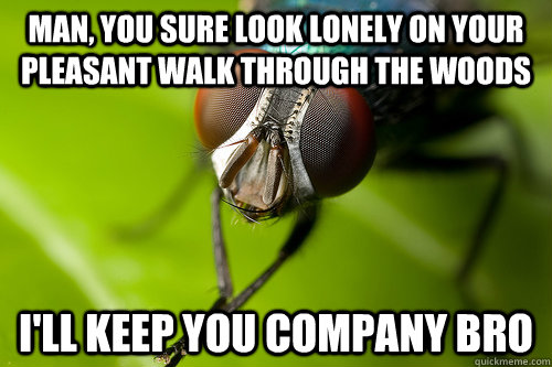 man, you sure look lonely on your pleasant walk through the woods i'll keep you company bro  Scumbag Fly