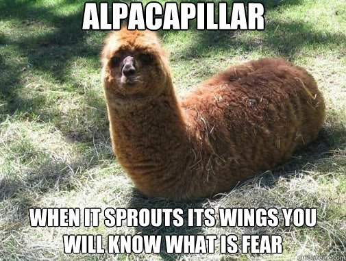 alpacapillar when it sprouts its wings you will know what is fear  Alpacapillar