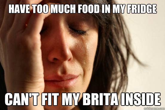 Have too much Food In mY Fridge Can't fit my Brita INside  First World Problems