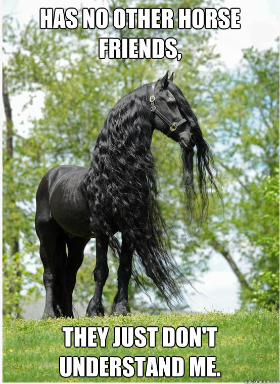 Has no other horse friends, they just don't understand me. - Has no other horse friends, they just don't understand me.  Emo Horse