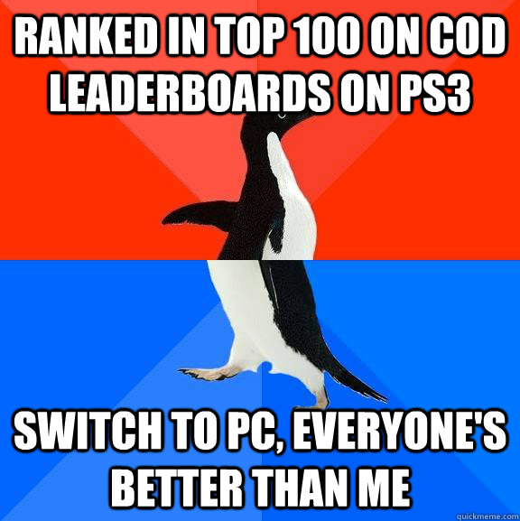 Ranked in top 100 on COD leaderboards on PS3 Switch to PC, everyone's better than me  Socially Awesome Awkward Penguin