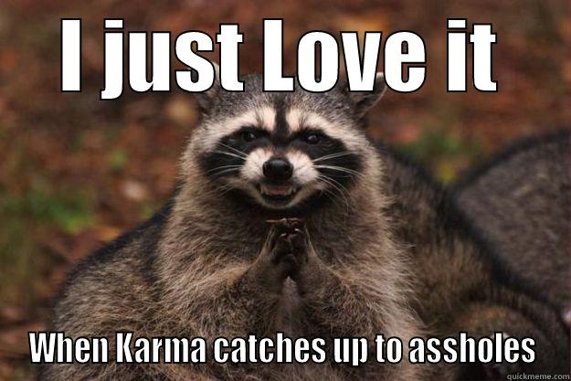 I JUST LOVE IT WHEN KARMA CATCHES UP TO ASSHOLES Evil Plotting Raccoon