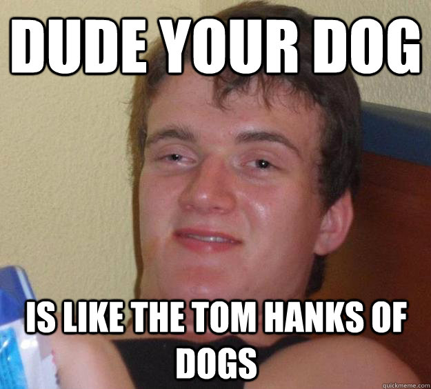 dude your dog  is like the tom hanks of dogs   10 Guy