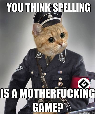 YOU THINK SPELLING  IS A MOTHERFUCKING GAME? - YOU THINK SPELLING  IS A MOTHERFUCKING GAME?  Spelling Nazi Cat