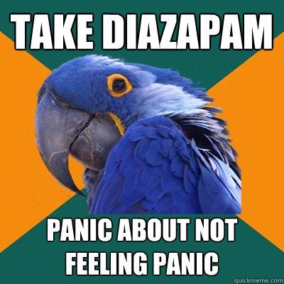 take diazapam panic about not feeling panic  Paranoid Parrot