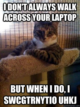 I don't always walk across your laptop but when I do, I swcgtrnytio uhkj  The Most Interesting Cat in the World