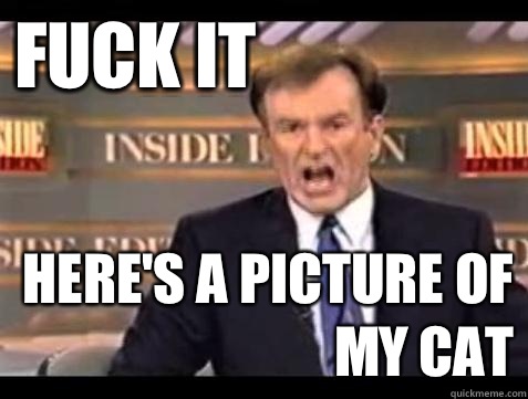 FUCK IT HERE'S A PICTURE OF MY CAT  Fuck it