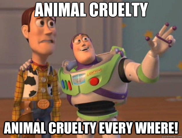 Animal Cruelty animal cruelty every where! - Animal Cruelty animal cruelty every where!  Toy Story