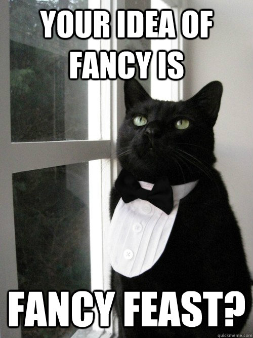 Your idea of fancy is fancy feast? - Your idea of fancy is fancy feast?  One Percent Cat