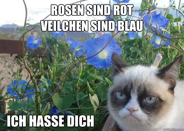 Rosen sind rot 
Veilchen sind blau
 ich hasse dich - Rosen sind rot 
Veilchen sind blau
 ich hasse dich  Cheer up grumpy cat