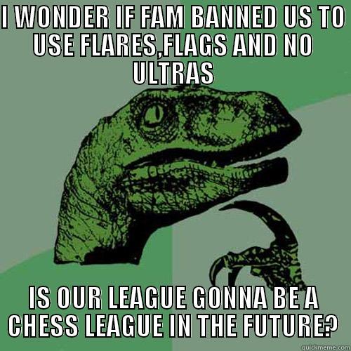 I WONDER IF FAM BANNED US TO USE FLARES,FLAGS AND NO ULTRAS IS OUR LEAGUE GONNA BE A CHESS LEAGUE IN THE FUTURE? Philosoraptor
