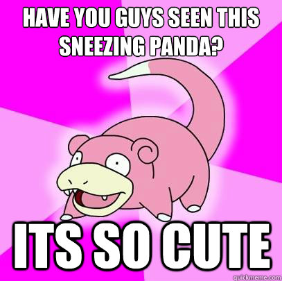 Have you guys seen this sneezing panda? ITS SO CUTE  Slowpoke