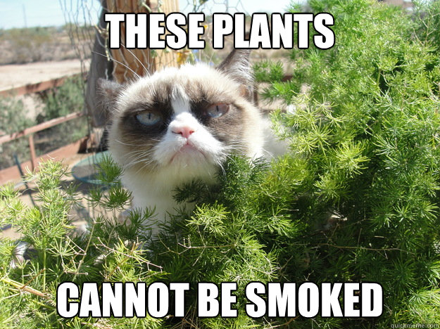 these plants cannot be smoked - these plants cannot be smoked  Misc