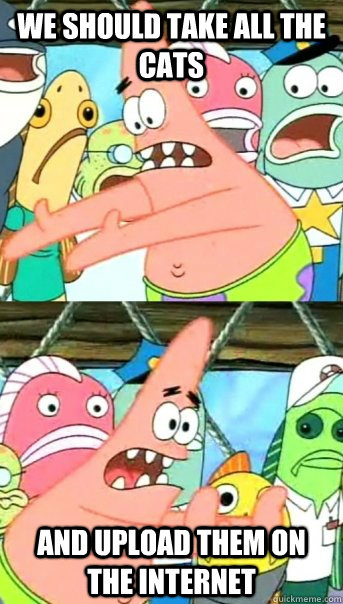 We should take all the cats and upload them on the internet  Push it somewhere else Patrick