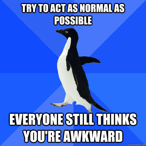 Try to act as normal as possible Everyone still thinks you're awkward - Try to act as normal as possible Everyone still thinks you're awkward  Socially Awkward Penguin