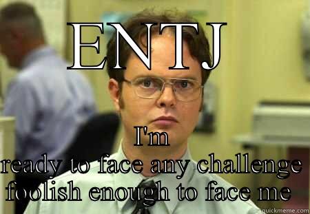 ENTJ I'M READY TO FACE ANY CHALLENGE FOOLISH ENOUGH TO FACE ME  Schrute