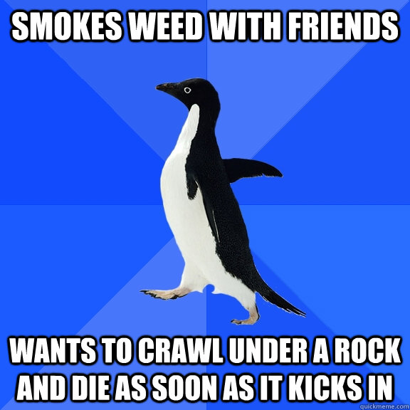 Smokes weed with friends Wants to crawl under a rock and die as soon as it kicks in  Socially Awkward Penguin