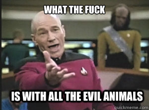 what the fuck is with all the evil animals  Annoyed Picard