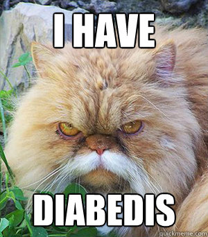 I have diabedis - I have diabedis  Wilford Brimley Cat