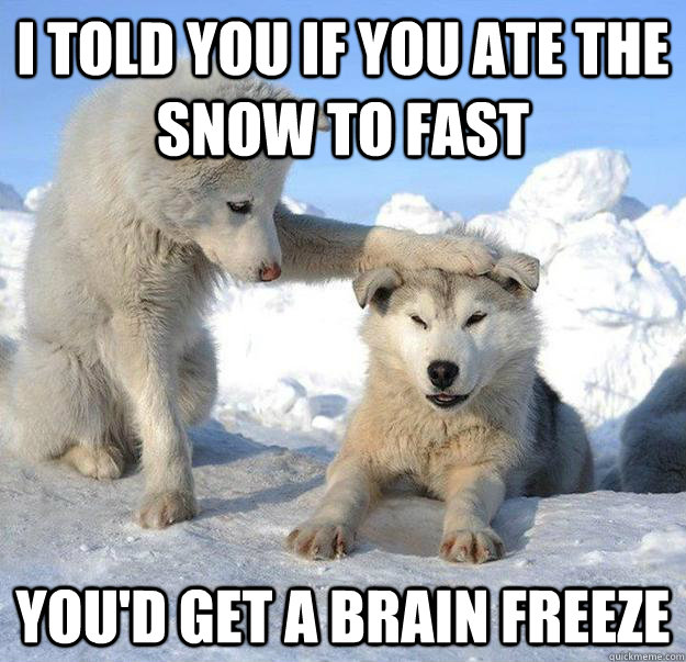 i told you if you ate the snow to fast you'd get a brain freeze  Caring Husky