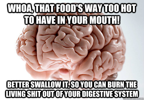 Whoa, that food's way too hot to have in your mouth! Better swallow it, so you can burn the living shit out of your digestive system  Scumbag Brain