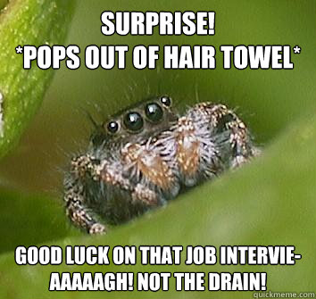 Surprise! 
*pops out of hair towel* Good luck on that job intervie-Aaaaagh! not the drain! - Surprise! 
*pops out of hair towel* Good luck on that job intervie-Aaaaagh! not the drain!  Misunderstood Spider