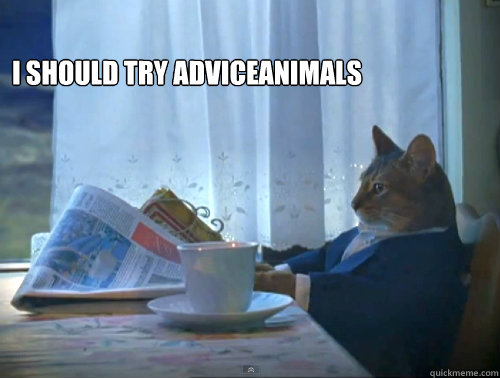 I should try AdviceAnimals   The One Percent Cat