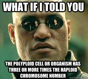 what if i told you the polyploid cell or organism has three or more times the haploid chromosome number  Matrix Morpheus