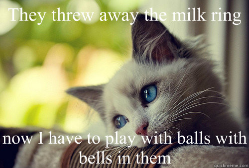 They threw away the milk ring now I have to play with balls with bells in them  - They threw away the milk ring now I have to play with balls with bells in them   First World Cat Problems