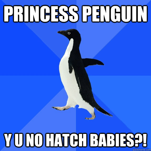 PRINCESS PENGUIN Y U no hatch babies?!  Socially Awkward Penguin