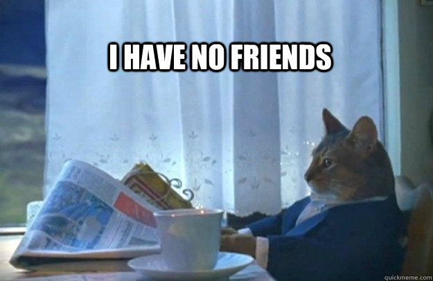 I have no friends  Sophisticated Cat