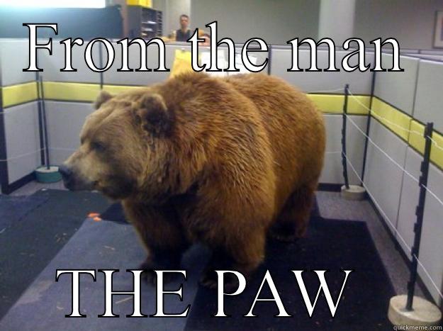 Happy Birthday Bear - FROM THE MAN THE PAW  Office Grizzly