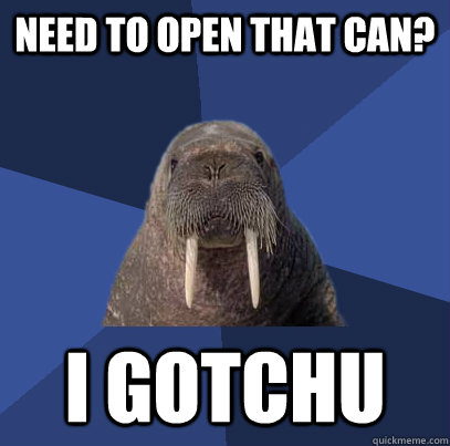 need to open that can? i gotchu  Web Developer Walrus